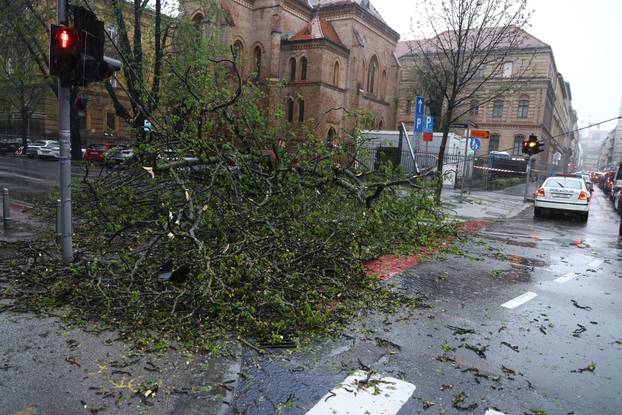 Zagreb:  Nevrijeme i jak vjetar srušili su nekoliko stabala u centru grada