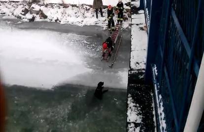 Naježili smo se: Iz smrznute rijeke vatrogasci spasili psa
