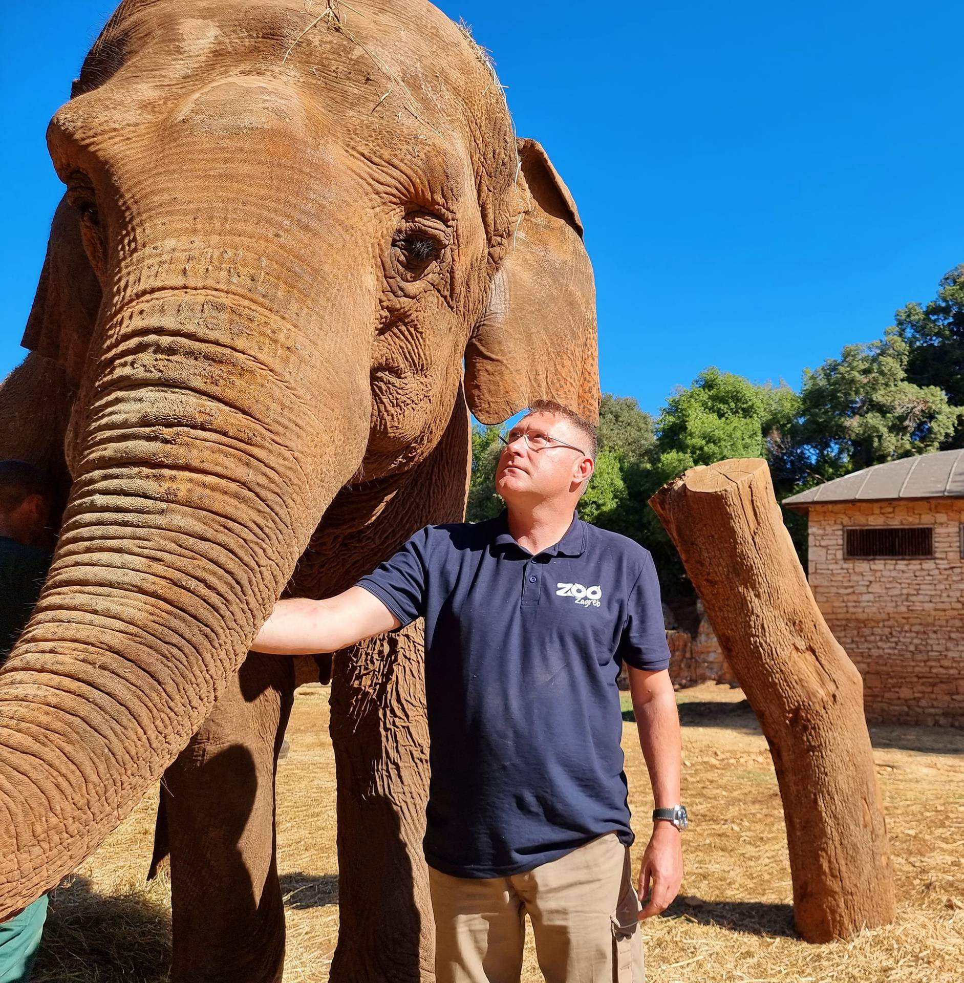 VIDEO 'Titova slonica Lanka je dobro. Odmah me prepoznala i došla se maziti. Izgleda sretno'