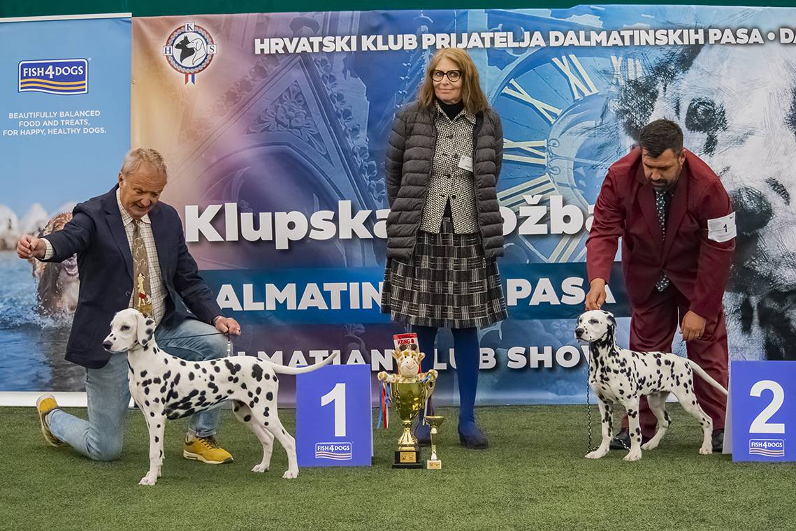 Na fešti dalmatinskih pasa ta je naša pasmina dobila svoje likere, čokolade, čak i vina!