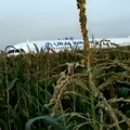 Avion udario u jato galebova i sletio u polje: 'Pilot je heroj!'