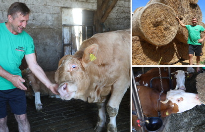 Drugi ljetuju, a farmer Zdenko ne staje s radom: 'Zbog krava 31 godinu nisam bio na godišnjem'