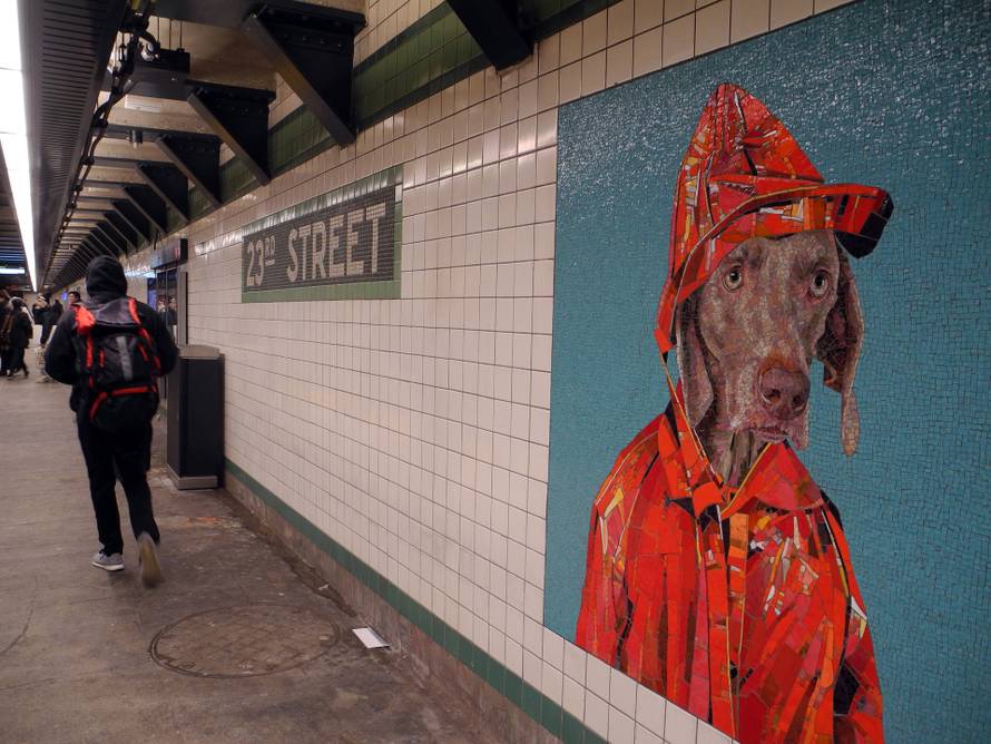 U londonskoj podzemnoj postavljeni mozaici s likovima pasa umjernika Williama Wegmana