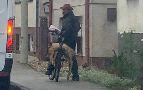 Nevjerojatne scene iz Palovca! 'Policija ga zaustavila s mrtvom srnom na biciklu. Uzeli su je...'