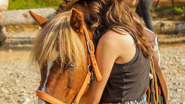 Postanite šaptač konjima za vikend u kultnom selu Roswell