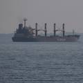 Posljednji brod napustio ukrajinsku luku prije krajnjeg roka za dogovor o izvozu žita