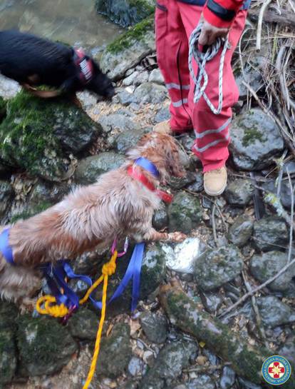 Drniš: Članovi HGSS-a spasili psa iz kanjona rijeke Čikole 