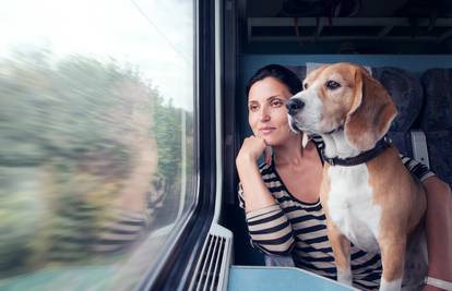 Ako se pokvari vlak, putnici idu u bus, a njihovi psi - u šumu