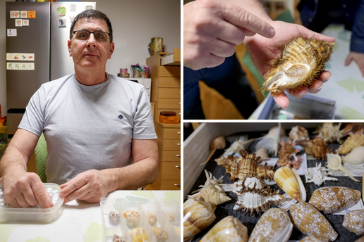 'Imam vi&scaron;e od 10.000 pu&zcaron;eva i &scaron;koljki. Dvije rijetke vrste nose moje ime. Sve sam nau&ccaron;io sam'