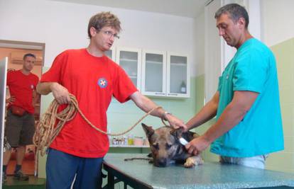 Spasili psa iz usjeka te su ga odvezli u azil u Zadru
