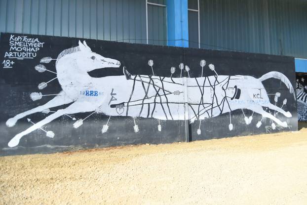 Bjelovar: Murali na pročelju sportske dvorane Srednje škole