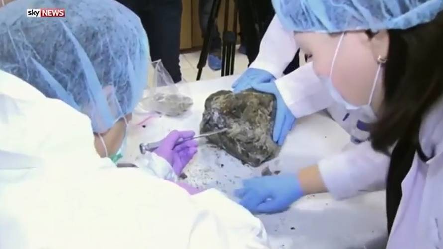 Pronašli su ostatke špiljskog lava i sada ga žele klonirati