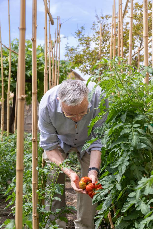 Dubrovnik: Vrtovi franjevačkog samostana
