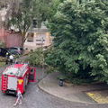 VIDEO Nevrijeme srušilo drvo u Zagrebu: Vatrogasci na terenu