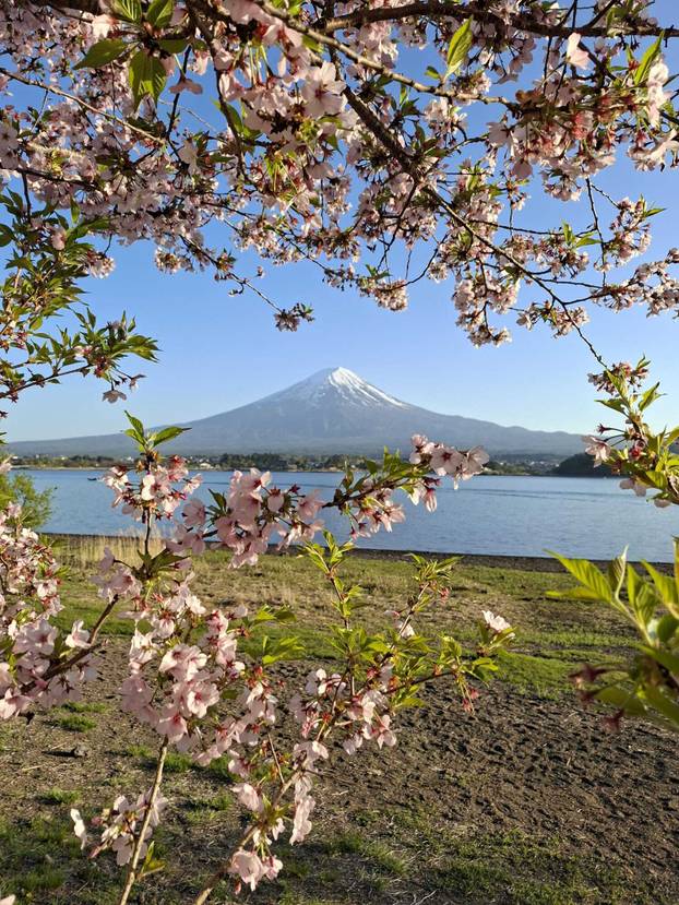 FOTO 'U Japanu su me oduševile WC školjke s grijanim sjedalima'