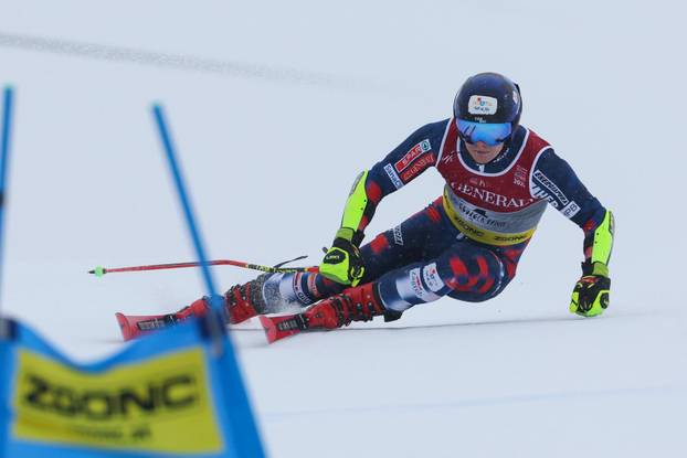 SPORT INVERNALI - Sci Alpino - FIS Alpine World Ski Championships - Men's Giant Slalom