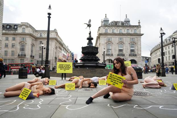 PETA protest