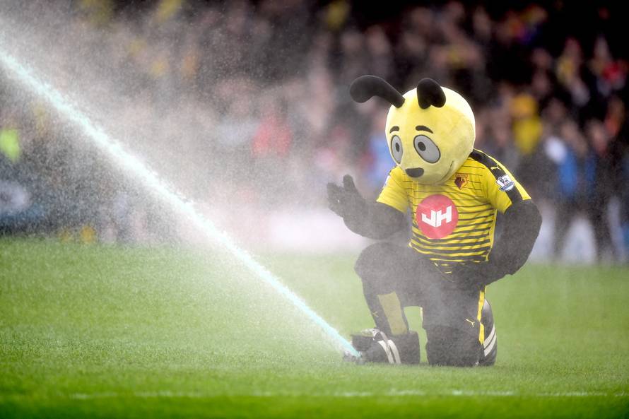 Watford v Liverpool - Barclays Premier League - Vicarage Road