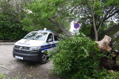 Sibenik: Jak vjetar srusio veliko drvo i razbio policijski kombi