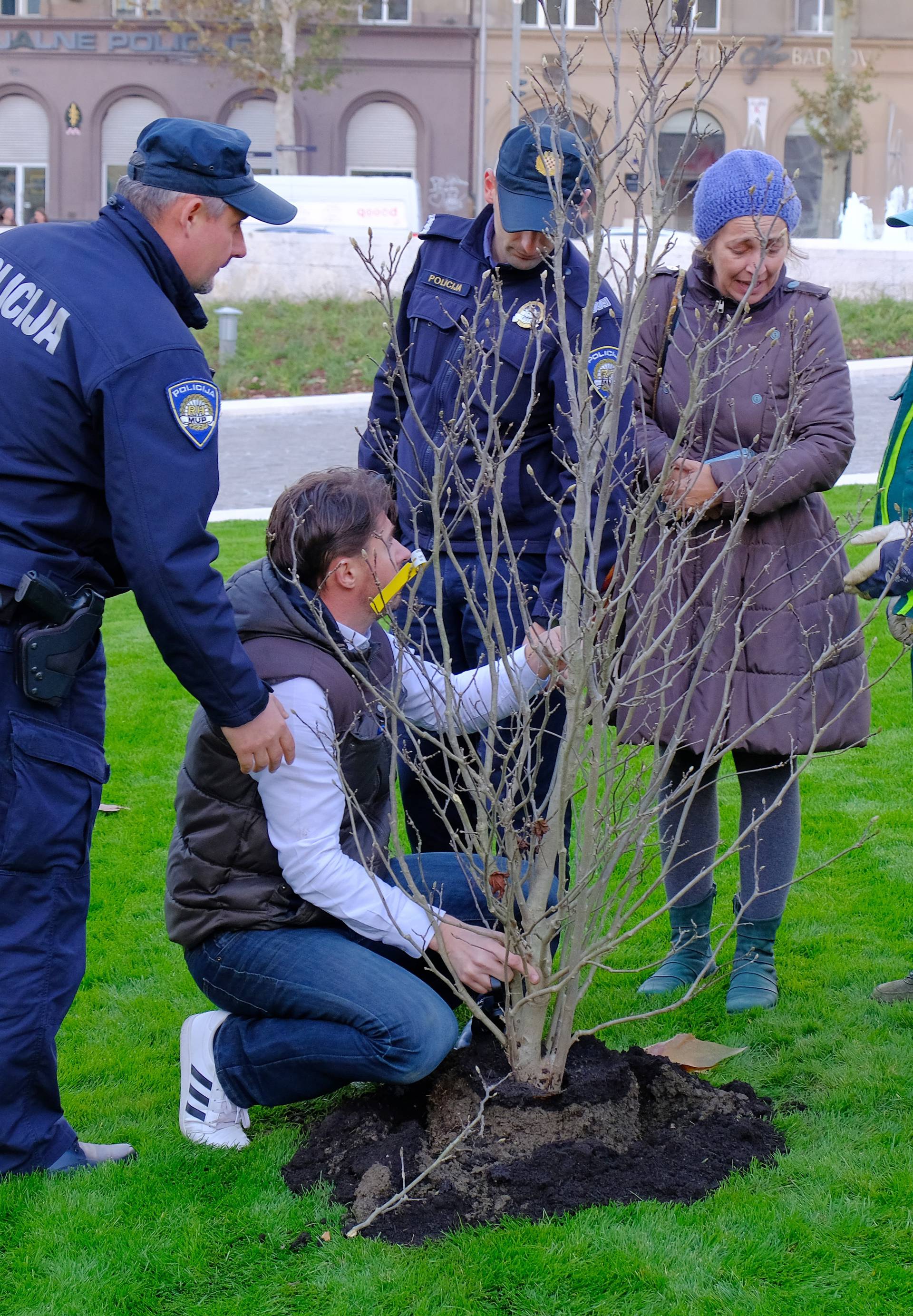 Došla policija i legitimirala ih: 'Sadili smo magnolije iz inata'