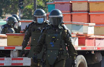 Prosvjednici u Čileu postavili košnice ispred predsjednčke palače: Pčele izbole policajce
