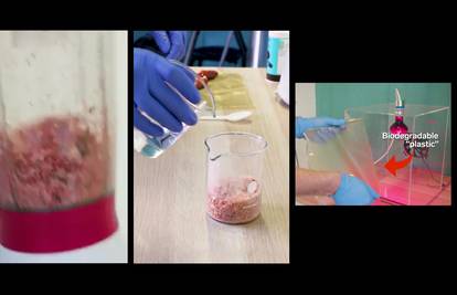 Tim studenata od ljuski jastoga napravio biorazgradivu plastiku
