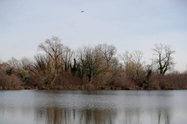 Sunčan dan na jezeru Savica