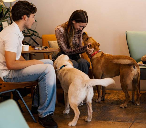 FOTO Ako vas ovi prizori danas ne raznježe, ništa neće: Psi i vlasnici uživali u Dogs' Caffeu