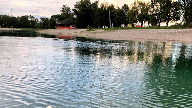 Labuđa obitelj šetala Jarunom: 'Ovakvi  roditelji trebamo biti...'