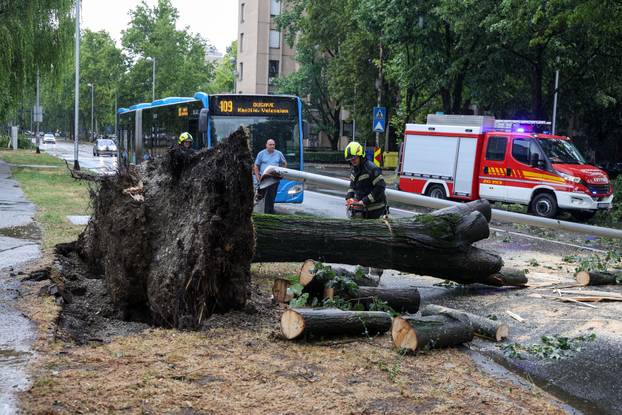 Zagreb: Vatrogasci uklanjaju stablo koje je palo u Ulici Svetog Mateja