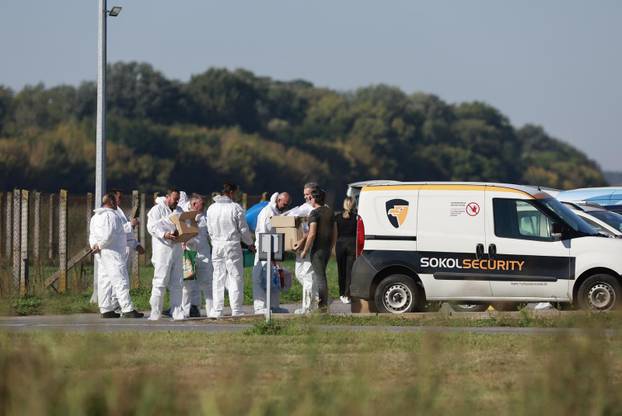 Sokolovac: Kreće eutanazija svinja, uvode se novi sigurnosni protokoli