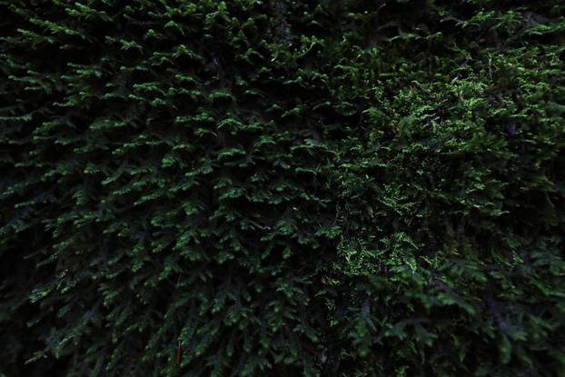 Vodice: Jesenja mističnost Ćićarije