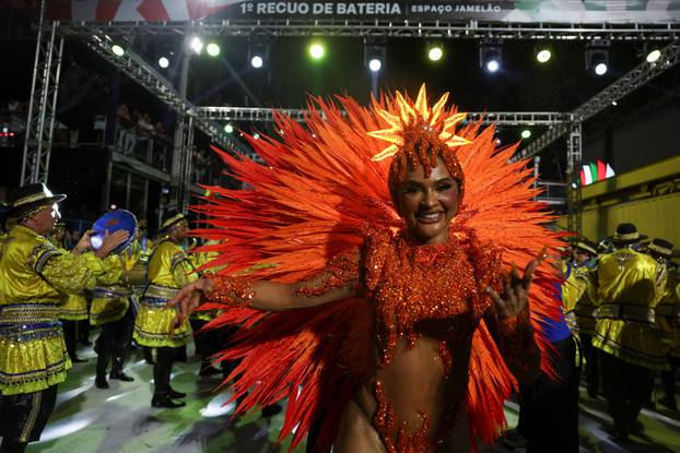 Carnival in Rio de Janeiro