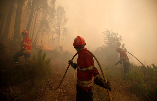 Firefighters work to put out fire during a forest fire in Capelo