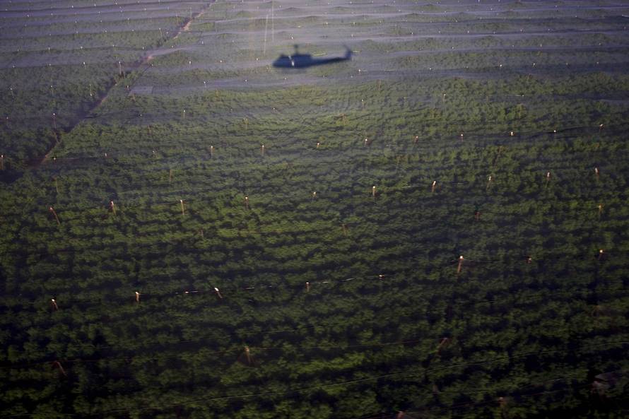 REUTERS/PXL