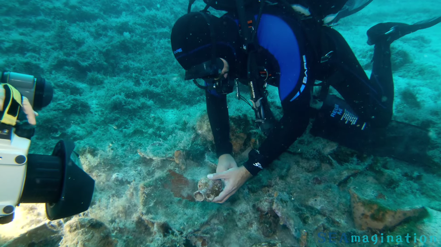 FOTO Ronilac kraj Visa pronašao antičko blago, iz Ministarstva su reagirali tek nakon mjesec dana