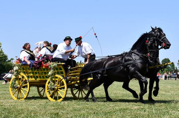 FOTO U znaku tradicije: Na 44. manifestaciji 'Konji bijelci' vozile su se i svadbarske kočije