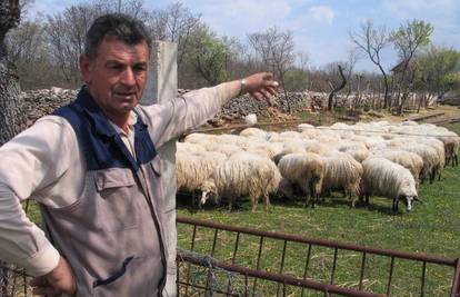 'Moje ovce obožavaju narodnu glazbu, a vukovi bježe od nje'
