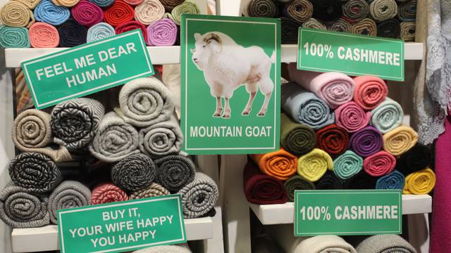 Naučite kako nastaje odjeća od kašmira, vrlo dragocjene vune