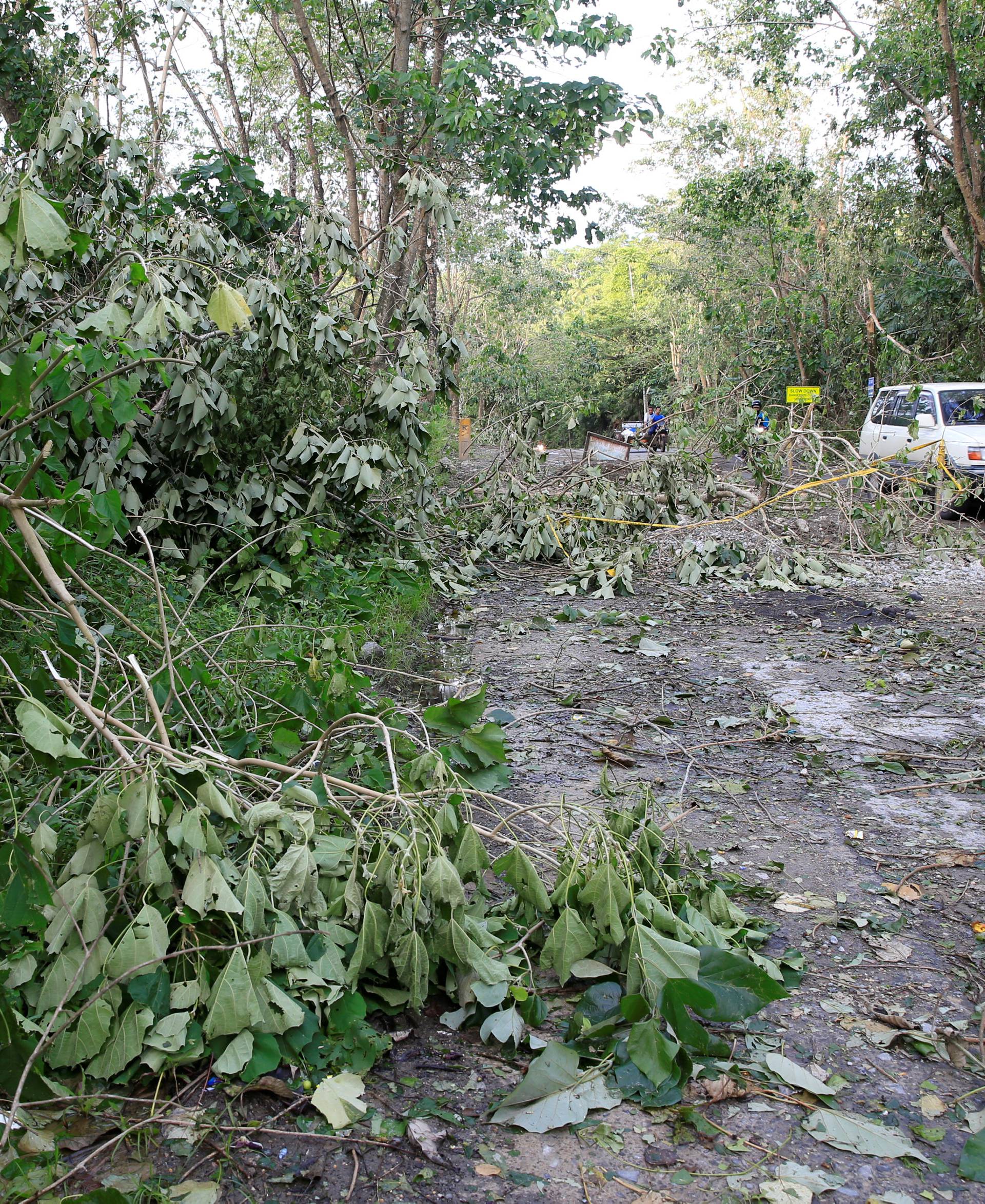 A vehicle drives pass trees and leaves uprooted by strong winds brought by Typhoon Nock-ten which cut through Camarines Sur, Bicol region
