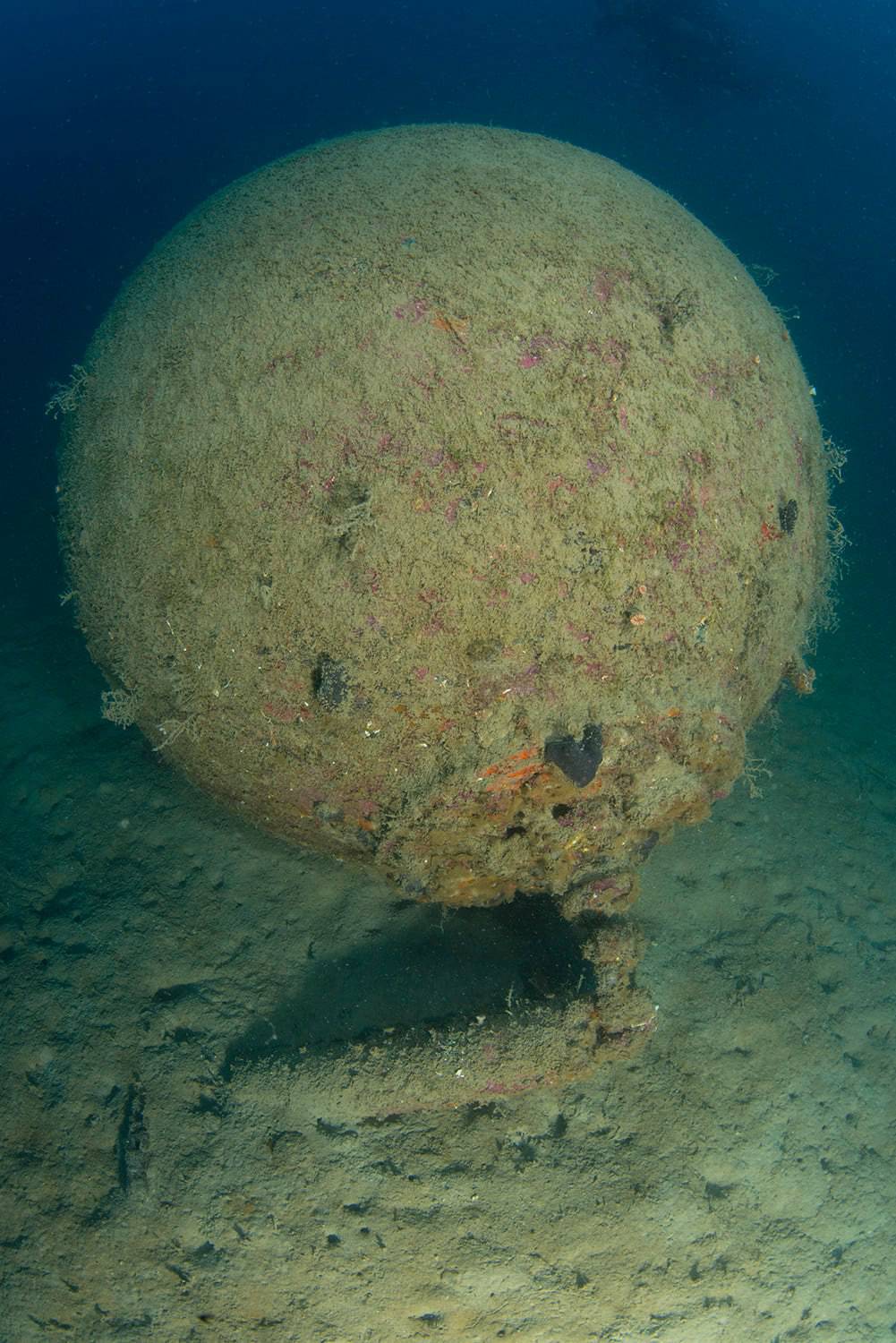 'Ronili smo i vidjeli propeler. To je bio torpedo. Napola zakopan u mulju. Blizu je bila i mina'