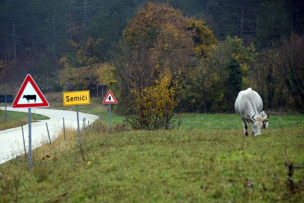 Vodice: Jesenja mističnost Ćićarije