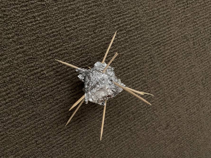 'Bogu hvala, sada kažnjavaju i one koji nisu za dom spremni'