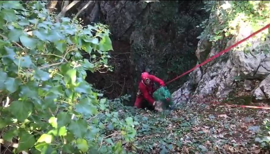 Došli se pozdraviti s psom koji je pao u jamu i čuli lavež s dna