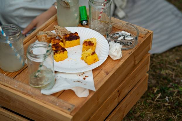 Zagreb: Mali piknik privukao je veliki broj građana 