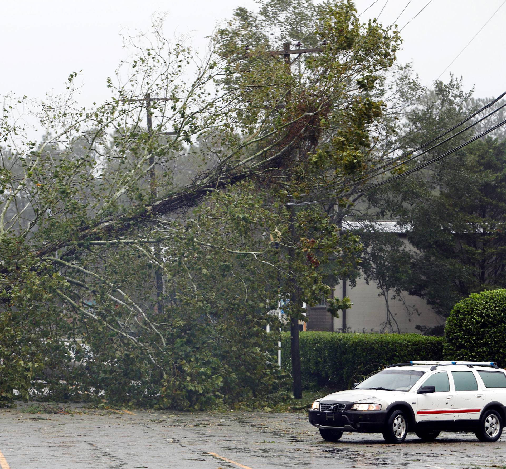 A motorist navigates away from a fallen tree blocking a road after the arrival of Hurricane Florence in Wilmington, North Carolina