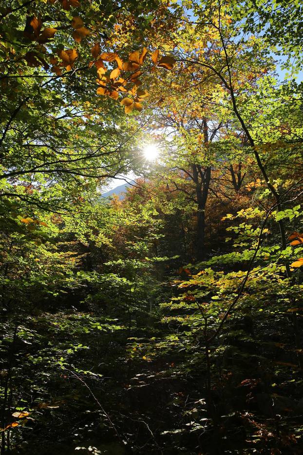 Nacionalni park Paklenica u jesenjem ruhu