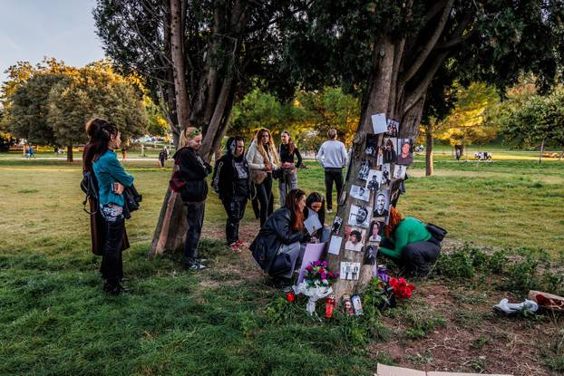 Split: Fanovi One Directiona održali memorijal u spomen na preminulog glazbenika Liama Paynea