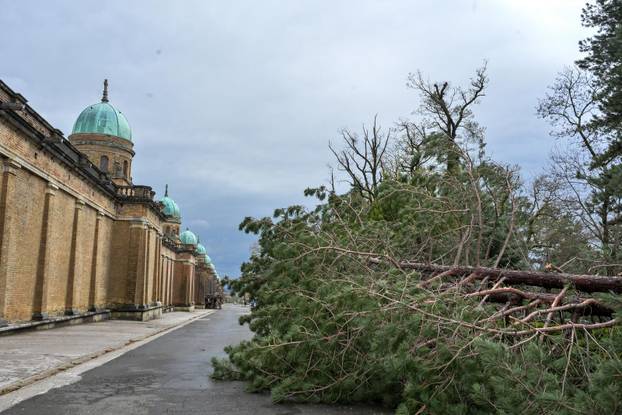 Zagreb: U nevremenu teško  oštećeno gradsko groblje Mirogoj