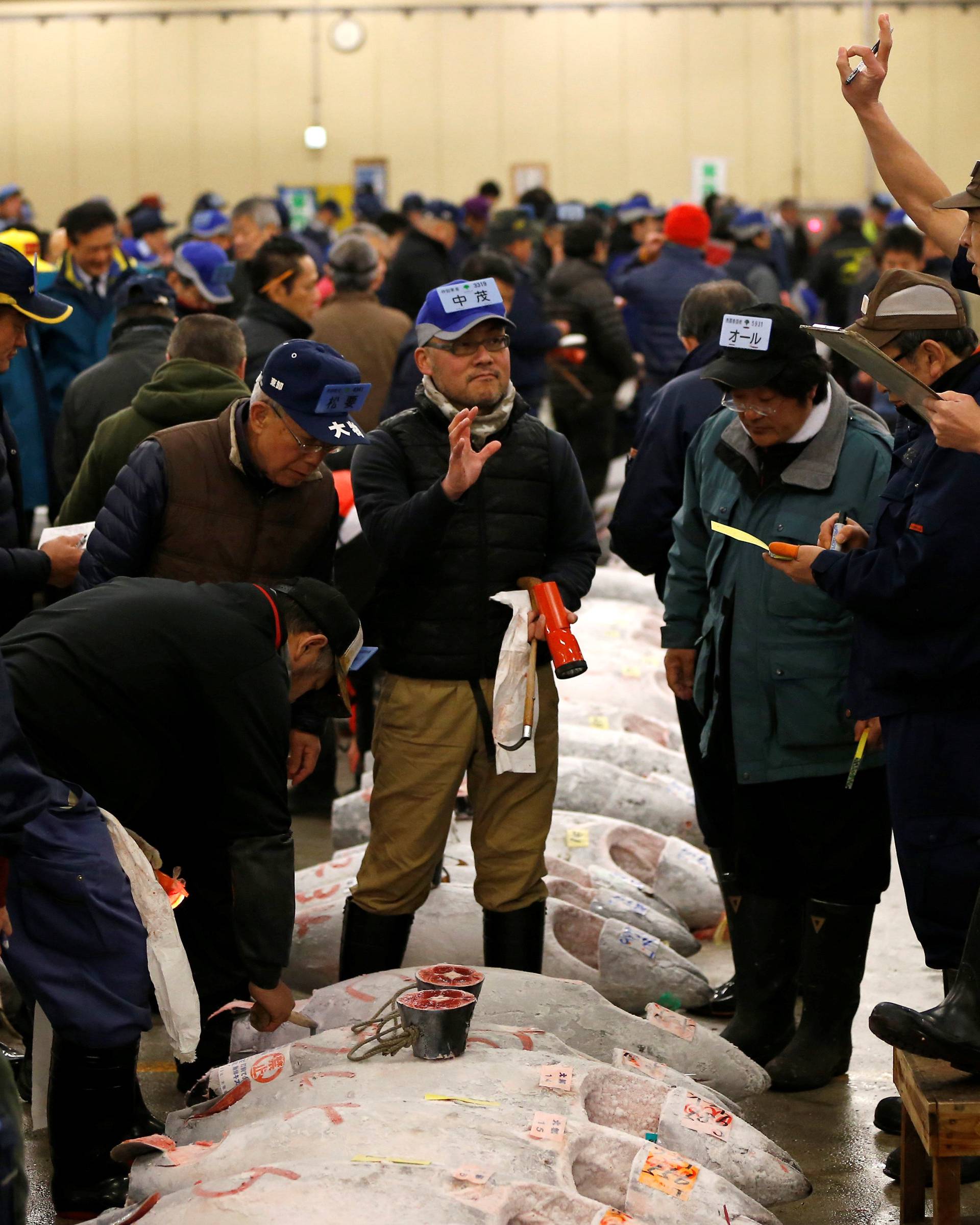 An auctioneer raises his hand as he starts the New Year's auction of the frozen tuna while wholesalers check the quality of frozen tuna displayed at the Tsukiji fish market in Tokyo, Japan